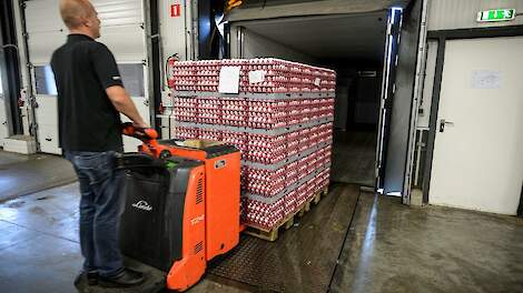 Industriemarkt eieren herstelt mogelijk snel