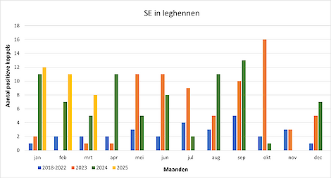 Figuur 1: Aantal met Salmonella Enteritidis (SE) besmette koppels leghennen in Nederland Bron: NVWA 2025