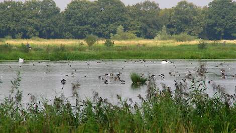 NVP aan tafel over de gebiedsgerichte aanpak