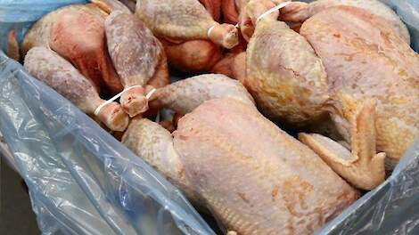 'Mercosur-akkoord en meer dierwaardige veehouderij onverenigbaar'