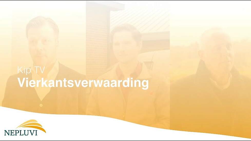 KipTV - Vierkantsverwaarding