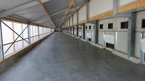 Overgangsregeling voor overdekte uitloop binnen Beter Leven keurmerk