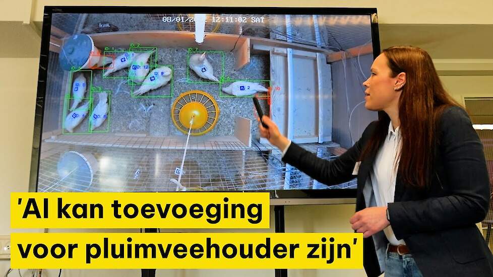 'AI kan diergedrag beoordelen en toevoeging voor pluimveehouder zijn'