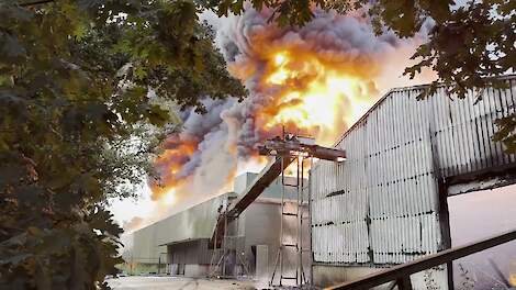 Zeer grote brand in kippenstal én mestopslag Meijelseweg Heibloem