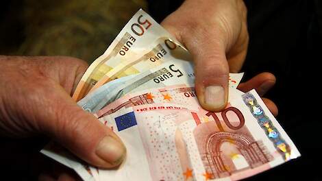 Financiële gezondheid pluimveebedrijven verder gestegen in 2023
