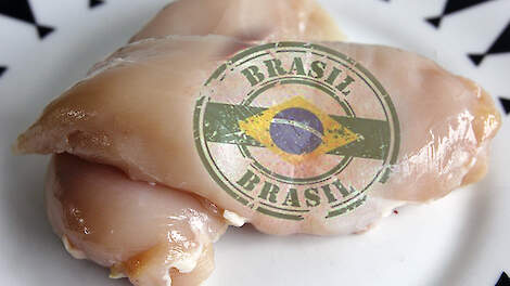 EU-importverbod op Braziliaans pluimvee blijft voorlopig van kracht