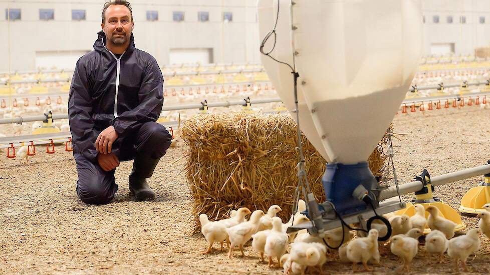 De Heus › De kringloop van Marijn Uitdewilligen