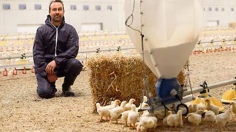 De kringloop van Marijn Uitdewilligen