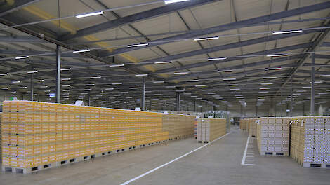 Hardeman wil Frisian Egg overnemen