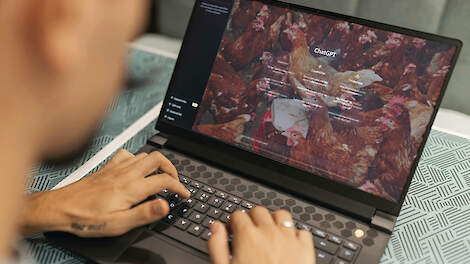 ChatGPT in de pluimveestal? Zo pas je dit als boer toe