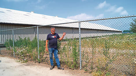 ‘Pluimvee in de polder: op weg naar 100 weken’