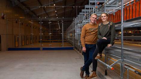 Jonge leghennenhouders organiseren kinderkampen