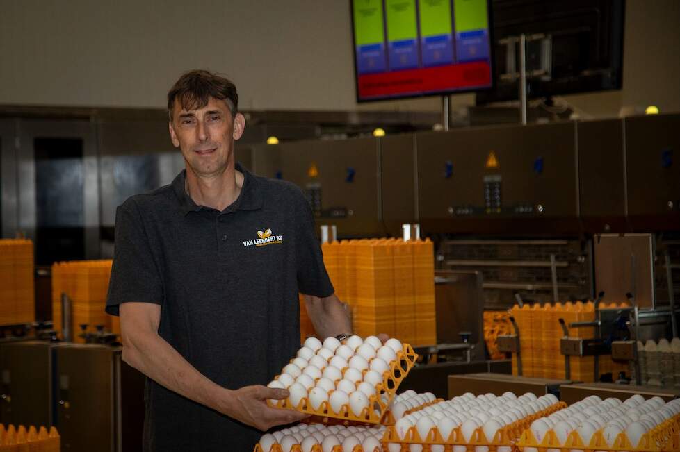 'Met 15 miljoen kippen aan tafel, dan praat je mee over de prijs'