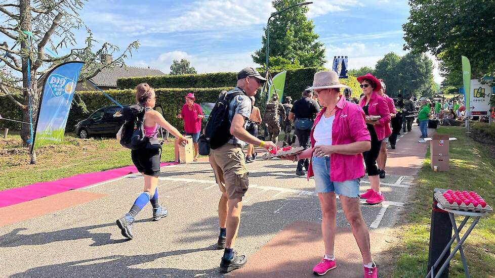 Op woensdag, donderdag en vrijdag hebben de mmmEggies weer gekookte roze eieren uitgedeeld aan de wandelaars van de Vierdaagse van Nijmegen. Er waren drie dagen genoeg mmmEggies en hulp om de eieren uit te delen. „We beschouwen het als een feestje om dat