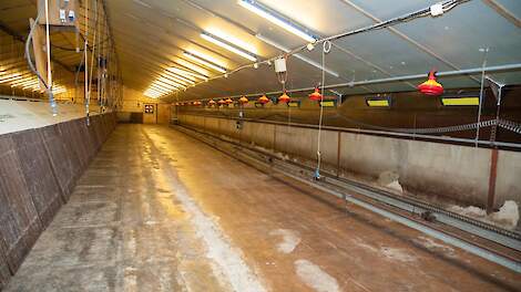 Geen subsidie voor lege stallen bij LBV-aanvraag