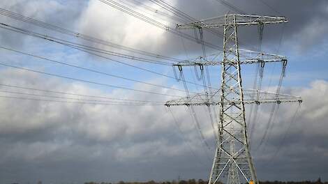 Zorgen bij Ospelse pluimveehouder over verzwaring hoogspanningskabels