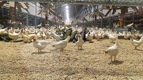 Eisen On the way to PlanetProof keurmerk aangescherpt