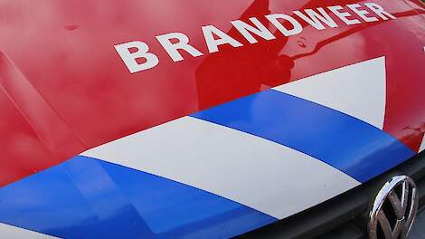 Brand doodt duizenden kippen in Vessem