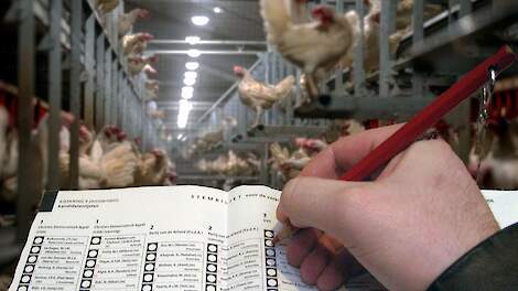 NVP wil herziening stikstofbeleid, afschaffen afroming en meer Europese afstemming