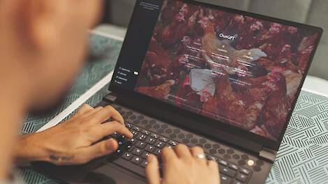 Zo zouden digitalisering en AI de pluimvleesverkoop kunnen veranderen