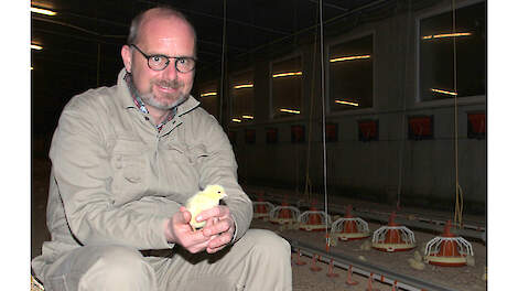 Opmerkelijke stap: 'We stoppen vijf jaar met vleeskuikens houden'