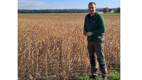 Van voer tot eierverkoop: alles in eigen hand