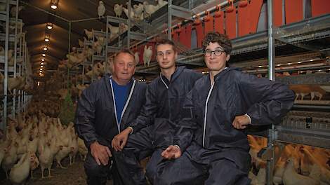 Odink bouwt veelzijdig bedrijf op: 'Ik wed niet graag op één paard'