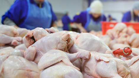 Pluimveedivisie Pilgrims Pride stuwt resultaat JBS