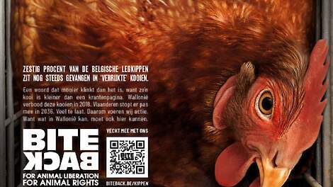 Landsbond Pluimvee dient klacht in tegen misleidende campagne Bite Back