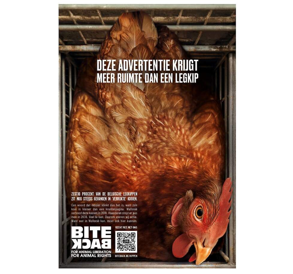 De misleidende advertentie van Bite Back.