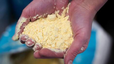 Vijf cent extra opbrengst met gedroogd eipoeder in vleeskuikenstartvoer