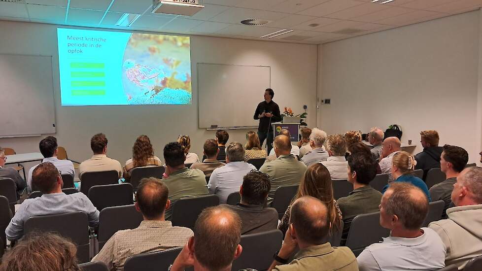 Presentatie: ‘Sterke hennen beginnen in de opfok’.
