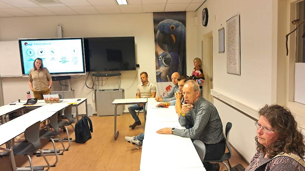 Workshop Voergroep Zuid: sturen op voer per ei.