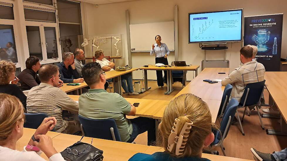 Workshop Boehringer: immunosuppressie en vaccinaties.