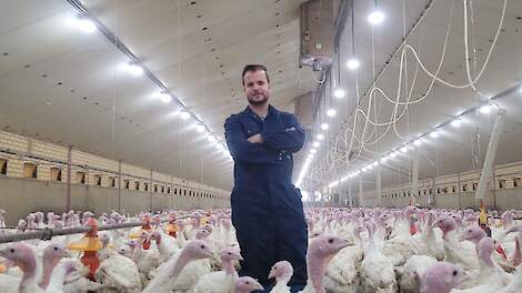 Fotoserie: 'We hebben kalkoenstallen gerenoveerd nadat vergunning voor ombouw naar vleeskuikens niet kwam'