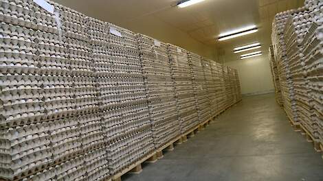 'Vogelgriepsituatie bepalend voor broedeiprijzen komende maanden'