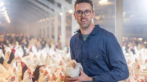 'Bruine hen heeft hele grote sprongen voorwaarts gemaakt'