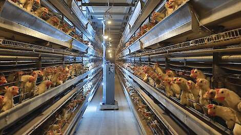 Robot spoort uitval in stal op binnen acht minuten