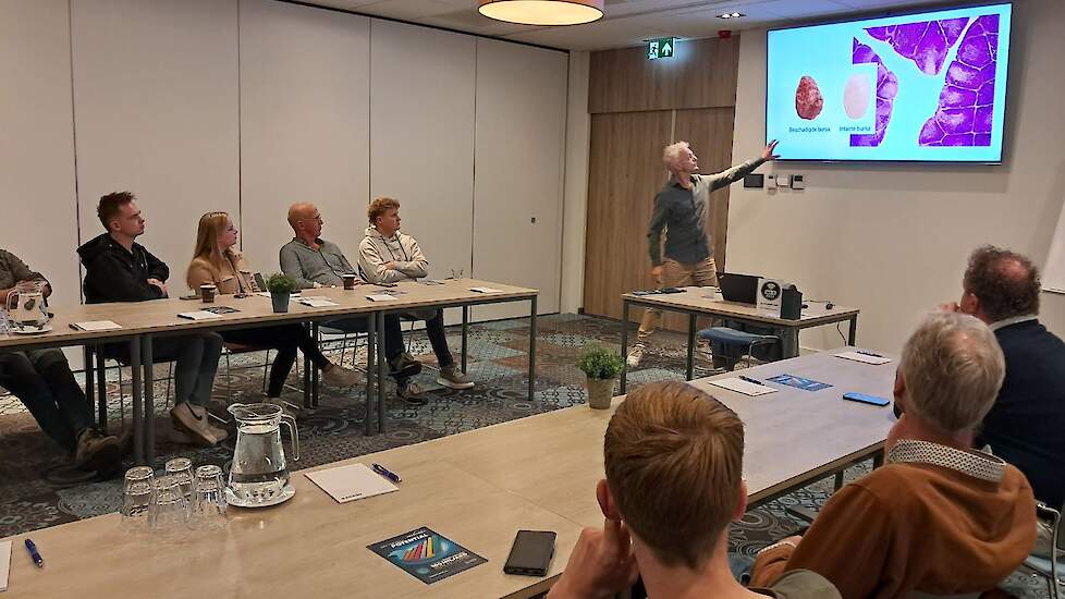 Ceva geeft workshop/pitch in themacarrousel.