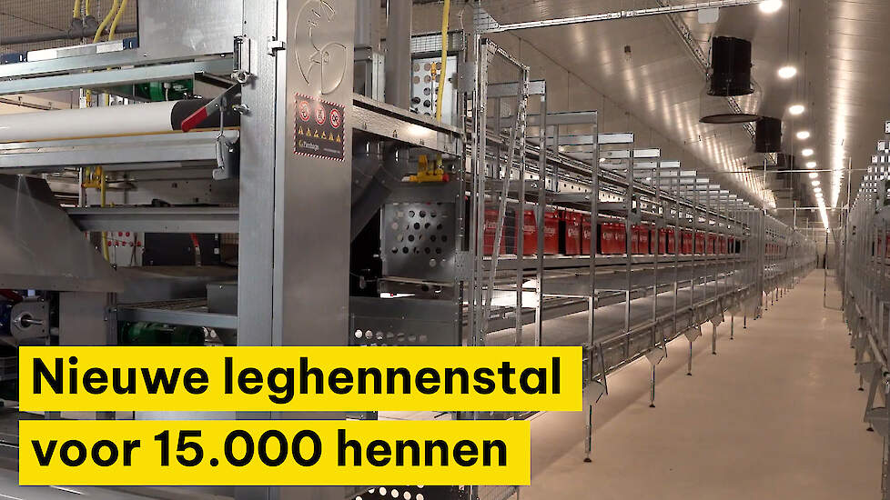 Biologische leghennenstal voor 15.000 kippen