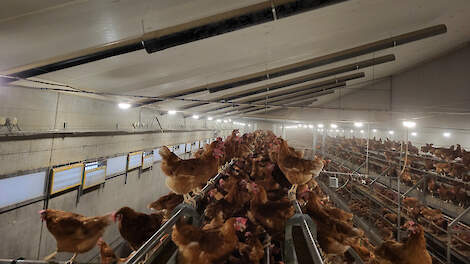 Zo houd je de binnenkomende lucht in de stal onder controle