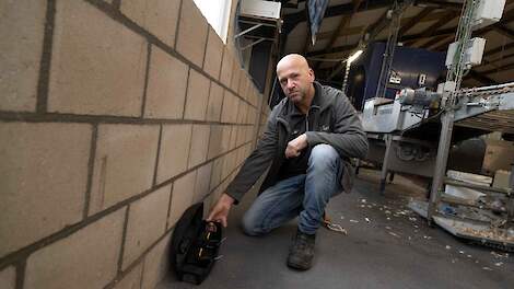 Van der Bolt zelf actief bezig met ongediertebestrijding na salmonella-uitbraak