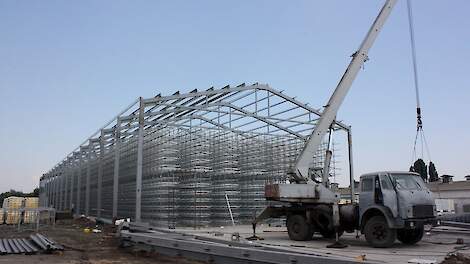 Oekraïne investeert fors in pluimveesector: Polen maakt zich zorgen over nieuwe concurrentie