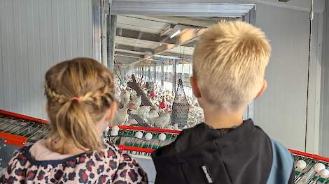 Negentien pluimveebedrijven nemen deel aan Wereld Ei Dag