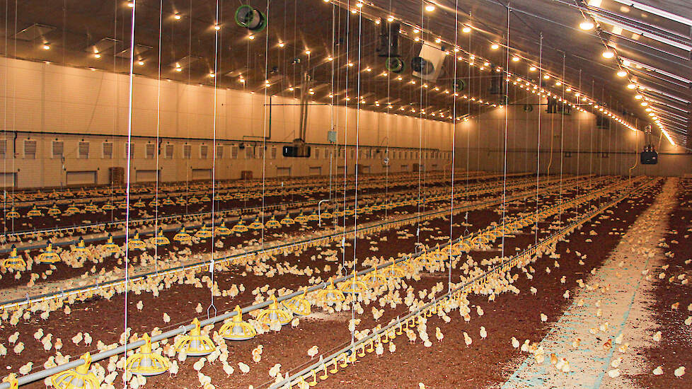 Baetsen koos voor ledverlichting. Daarnaast werken ze met daglichtramen in het plafond.