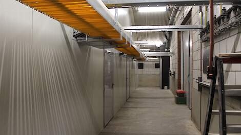 Hogere capaciteit en maximale flexibiliteit voor eiertransport