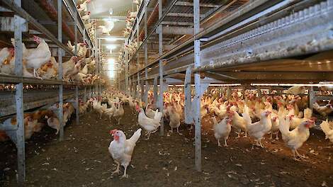 'Legstapel krimpt 4 tot 6 miljoen in Nederland'