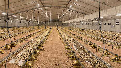 Fotoserie: Nieuwe opfokstal met luchtwasser