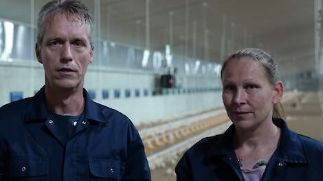 Video: Duitse familie Rakers schakelt om van zeugen naar 1 ster Beter Leven vleeskuikens