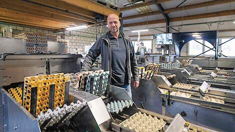 'Salmonella-uitbraak toont kwetsbaarheid directe afzet aan'